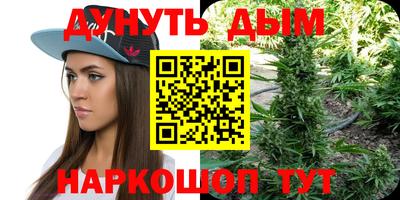 крисы Шахты