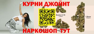 крисы Шахты