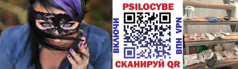 Галлюциногенные грибы Psilocybe  Павловский Посад 