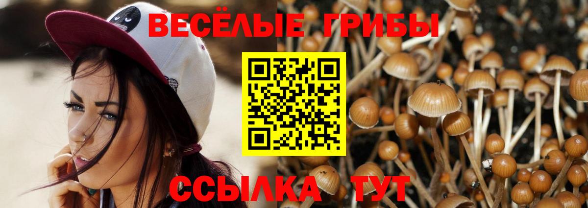 Псилоцибиновые грибы мухоморы  Вход с VPN  Павловский Посад 