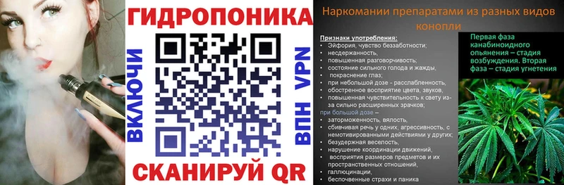 Шишки марихуана Bruce Banner ссылка на мегу рабочий сайт Павловский Посад