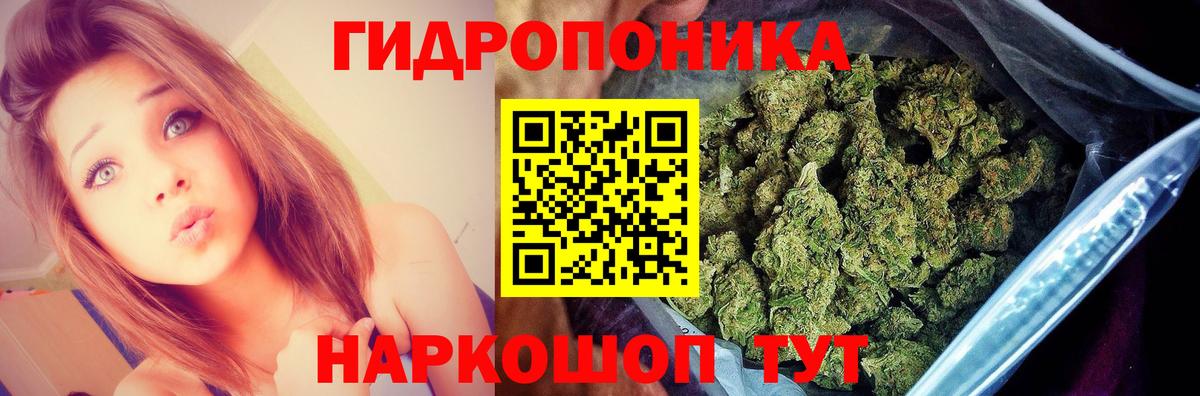 Бошки Шишки планчик  Вход с VPN  Павловский Посад  МАРИХУАНА OG Kush  Марихуана тримм 